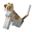 parallelInvicon Calico Cat Hat.png: Inventory sprite for Calico Cat Hat in Minecraft as shown in-game linking to Calico Cat Hat with description: Calico Cat Hat ♦ Cat Series ♦ The purr-fect hat! When on head: +2 Armor