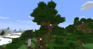 Spider Tree.png