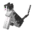 parallelInvicon Jellie Cat Hat.png: Inventory sprite for Jellie Cat Hat in Minecraft as shown in-game linking to Jellie Cat Hat with description: Jellie Cat Hat ♦ Cat Series ♦ The purr-fect hat! When on head: +2 Armor